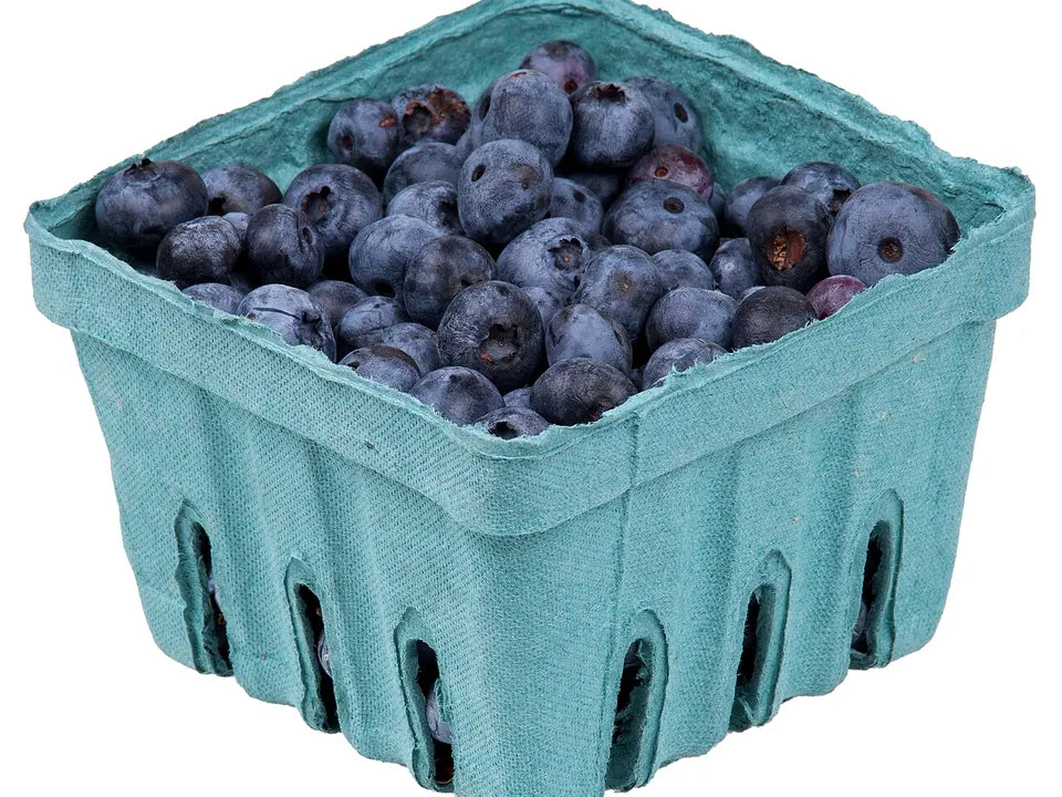 Fresh blueberries representing blueberry pouch flavor